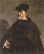 Sebastiano del Piombo, portrait of andrea doria